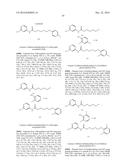 MOLECULES AND COMPOSITIONS THAT INHIBIT GRAM NEGATIVE BACTERIA AND THEIR     USES diagram and image