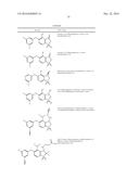 CYCLIC SULFONE AND SULFOXIMINE ANALOGS AND USES THEREOF diagram and image