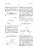 SUBSTITUTED OXOPYRIDINE DERIVATIVES AND USE THEREOF IN THE TREATMENT OF     CARDIOVASCULAR DISORDERS diagram and image