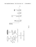 SUBSTITUTED BENZOFURANYL AND BENZOXAZOLYL COMPOUNDS AND USES THEREOF diagram and image