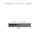 INHIBITORS OF C-JUN-N-TERMINAL KINASE (JNK) diagram and image