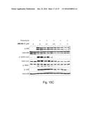 INHIBITORS OF C-JUN-N-TERMINAL KINASE (JNK) diagram and image