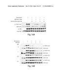 INHIBITORS OF C-JUN-N-TERMINAL KINASE (JNK) diagram and image