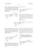 FUSED TRICYCLIC UREA COMPOUNDS AS RAF KINASE AND/OR RAF KINASE DIMER     INHIBITORS diagram and image