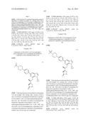 SYK INHIBITORS diagram and image