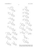 SYK INHIBITORS diagram and image