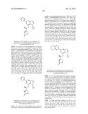 SYK INHIBITORS diagram and image