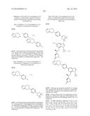 SYK INHIBITORS diagram and image