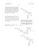 SYK INHIBITORS diagram and image