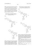 SYK INHIBITORS diagram and image