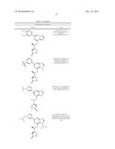 SYK INHIBITORS diagram and image