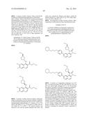 Imidazo[4,5-c]quinolin-2-one Compounds and Their Use in Treating Cancer diagram and image