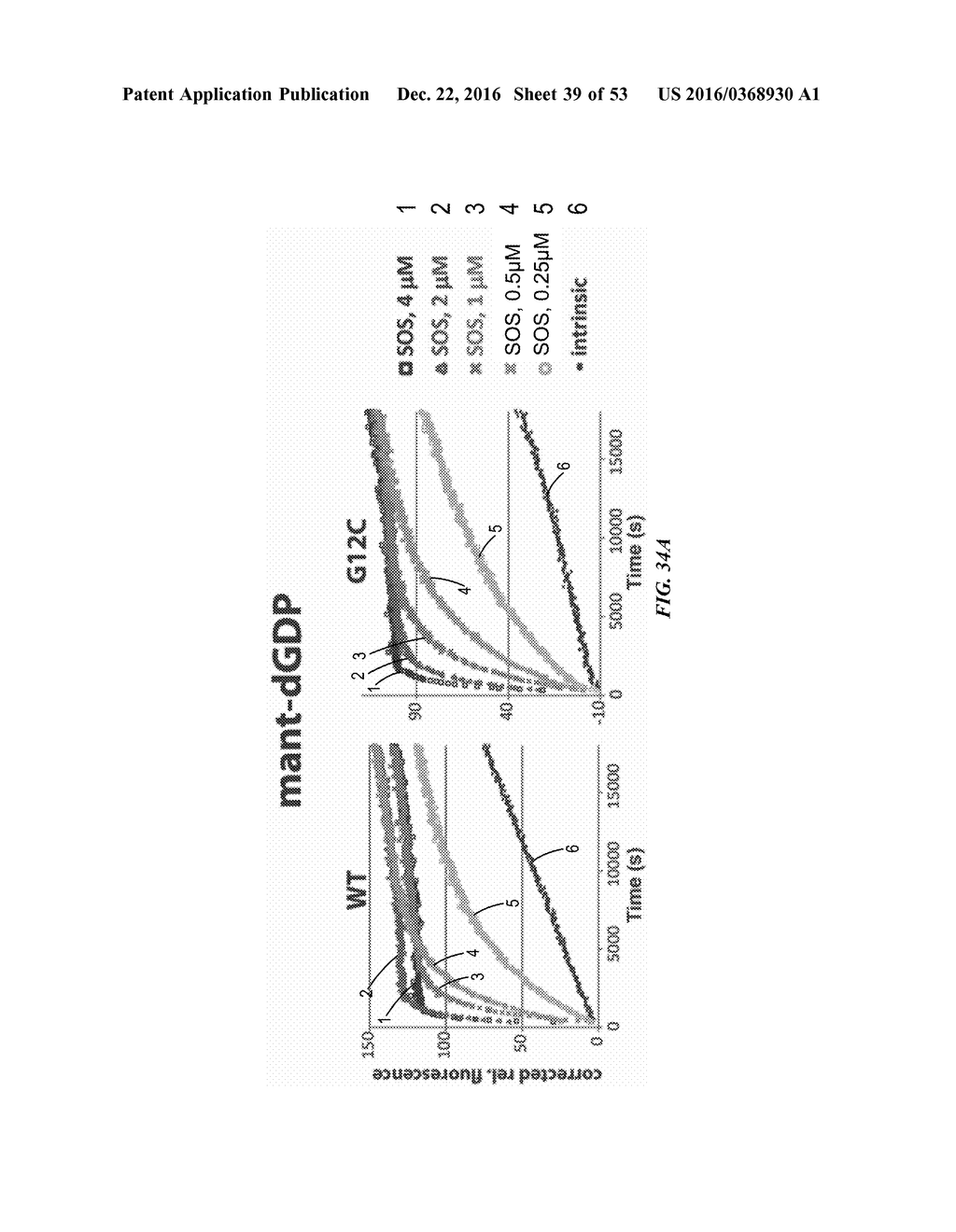 COMPOSITIONS AND METHODS FOR TREATING CANCER - diagram, schematic, and image 40