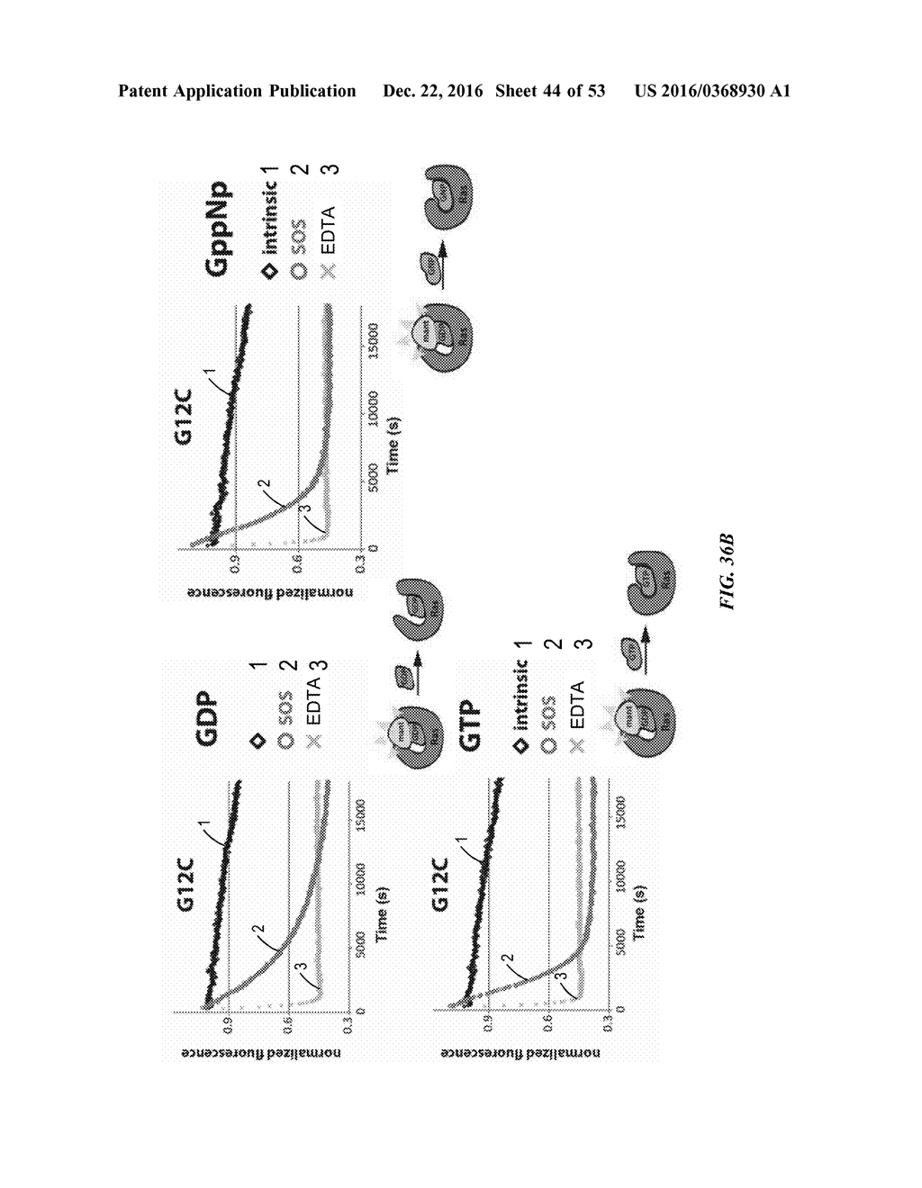 COMPOSITIONS AND METHODS FOR TREATING CANCER - diagram, schematic, and image 45