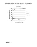 ANTI-COMPLEMENT FACTOR C1Q ANTIBODIES AND USES THEREOF diagram and image