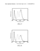 QUANTUM DOT-CONTAINING WAVELENGTH CONVERTER diagram and image