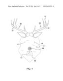 Illuminated Novelty Decoration Assembly diagram and image