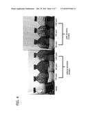 BIOCIDE COMPOSITIONS diagram and image