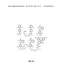 Identification of Stabilizers of Multimeric Proteins diagram and image