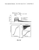 Identification of Stabilizers of Multimeric Proteins diagram and image