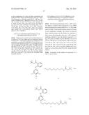 Identification of Stabilizers of Multimeric Proteins diagram and image