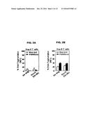 COMBINATION OF ROCAGLAMIDE AND APOPTOSIS INDUCING SUBSTANCES FOR THE     TREATMENT OF CANCER diagram and image