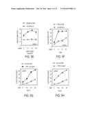 COMBINATION OF ROCAGLAMIDE AND APOPTOSIS INDUCING SUBSTANCES FOR THE     TREATMENT OF CANCER diagram and image