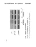 PPARs AGONIST ACTIVITY ENHANCING DRUG diagram and image