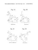 MACROLIDE PARTICULATES, METHODS FOR PREPARATION, AND MEDICAL DEVICES     ASSOCIATED THEREWITH diagram and image