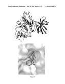 USES OF PARALOG-SELECTIVE INHIBITORS OF GSK3 KINASES diagram and image