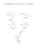 USES OF PARALOG-SELECTIVE INHIBITORS OF GSK3 KINASES diagram and image