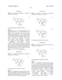 USES OF PARALOG-SELECTIVE INHIBITORS OF GSK3 KINASES diagram and image