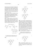 USES OF PARALOG-SELECTIVE INHIBITORS OF GSK3 KINASES diagram and image