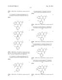 USES OF PARALOG-SELECTIVE INHIBITORS OF GSK3 KINASES diagram and image