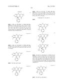 USES OF PARALOG-SELECTIVE INHIBITORS OF GSK3 KINASES diagram and image