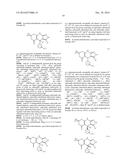 USES OF PARALOG-SELECTIVE INHIBITORS OF GSK3 KINASES diagram and image