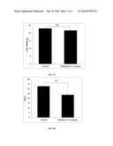 COMPOUNDS FOR THE TREATMENT OF OBESITY AND METHODS OF USE THEREOF diagram and image