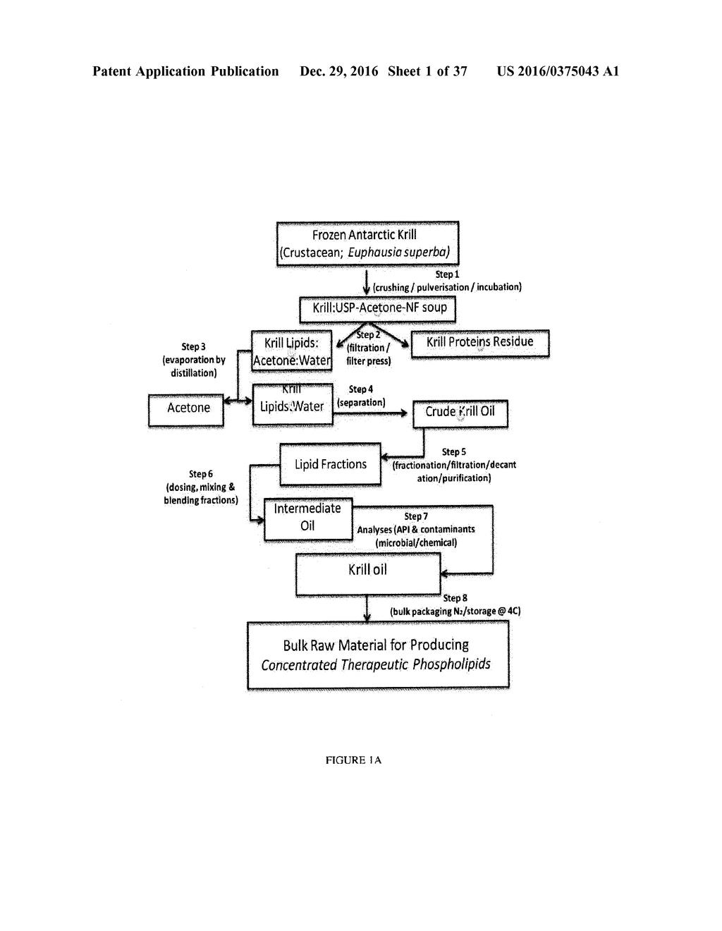 CONCENTRATED THERAPEUTIC PHOSPHOLIPID COMPOSITIONS - diagram, schematic, and image 02