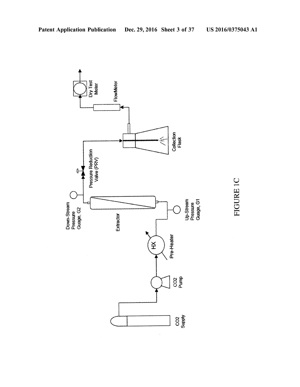 CONCENTRATED THERAPEUTIC PHOSPHOLIPID COMPOSITIONS - diagram, schematic, and image 04