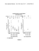 CONCENTRATED THERAPEUTIC PHOSPHOLIPID COMPOSITIONS diagram and image