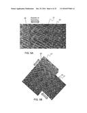 AMNION DERIVED THERAPEUTIC COMPOSITIONS AND METHODS OF USE diagram and image