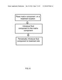 AMNION DERIVED THERAPEUTIC COMPOSITIONS AND METHODS OF USE diagram and image