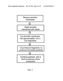 AMNION DERIVED THERAPEUTIC COMPOSITIONS AND METHODS OF USE diagram and image