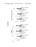 COMPOSITIONS AND METHODS TO TREAT INFLAMMATORY JOINT DISEASE diagram and image