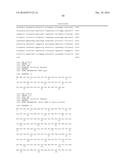 PRRSV minor protein-containing recombinant viral vectors and methods of     making and use thereof diagram and image