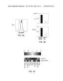 AGENTS THAT ENGAGE ANTIGEN-PRESENTING CELLS THROUGH DENDRITIC CELL     ASIALOGLYCOPROTEIN RECEPTOR (DC-ASGPR) diagram and image