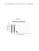 MODIFIED POLYNUCLEOTIDES FOR THE PRODUCTION OF SECRETED PROTEINS diagram and image