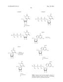 MODIFIED POLYNUCLEOTIDES FOR THE PRODUCTION OF SECRETED PROTEINS diagram and image