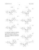 MODIFIED POLYNUCLEOTIDES FOR THE PRODUCTION OF SECRETED PROTEINS diagram and image