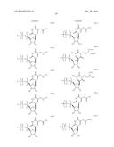 MODIFIED POLYNUCLEOTIDES FOR THE PRODUCTION OF SECRETED PROTEINS diagram and image